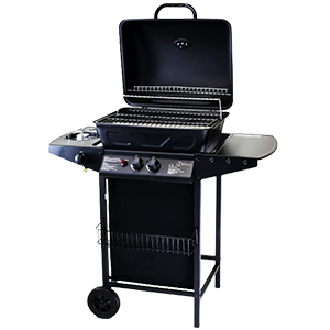 ZStyle Barbecue a gas